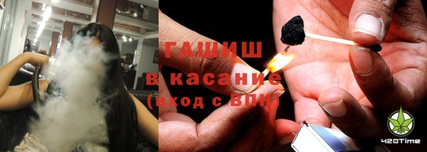 spice Елизово