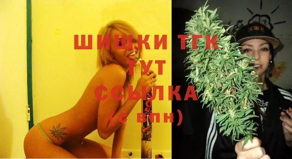 ПСИЛОЦИБИНОВЫЕ ГРИБЫ Елабуга