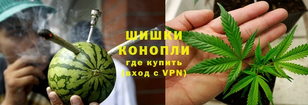 ПСИЛОЦИБИНОВЫЕ ГРИБЫ Елабуга