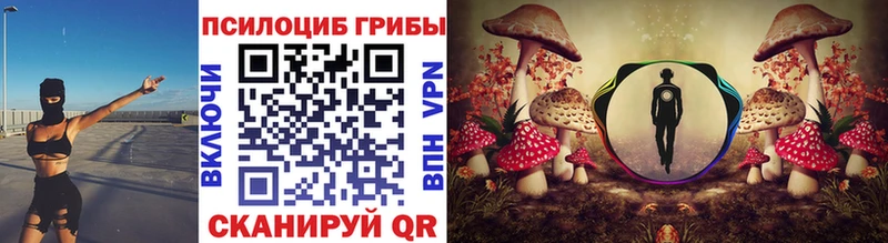 Псилоцибиновые грибы Magic Shrooms Грязи