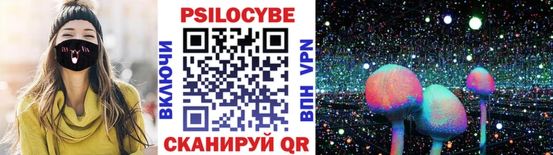 Псилоцибиновые грибы мицелий  Купить  Грязи 